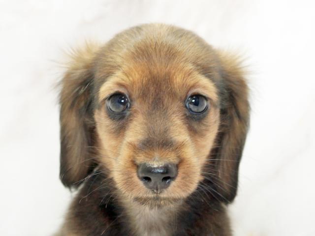 クリックすると詳細データが見られます。