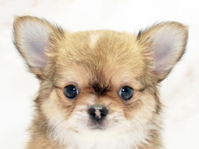 クリックすると詳細データが見られます。