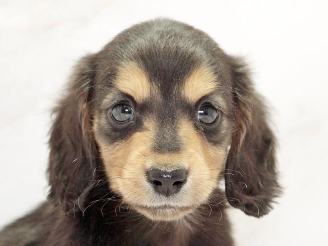 クリックすると詳細データが見られます。