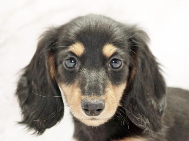 クリックすると詳細データが見られます。