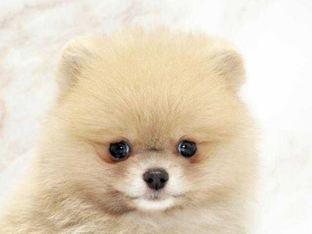 クリックすると詳細データが見られます。