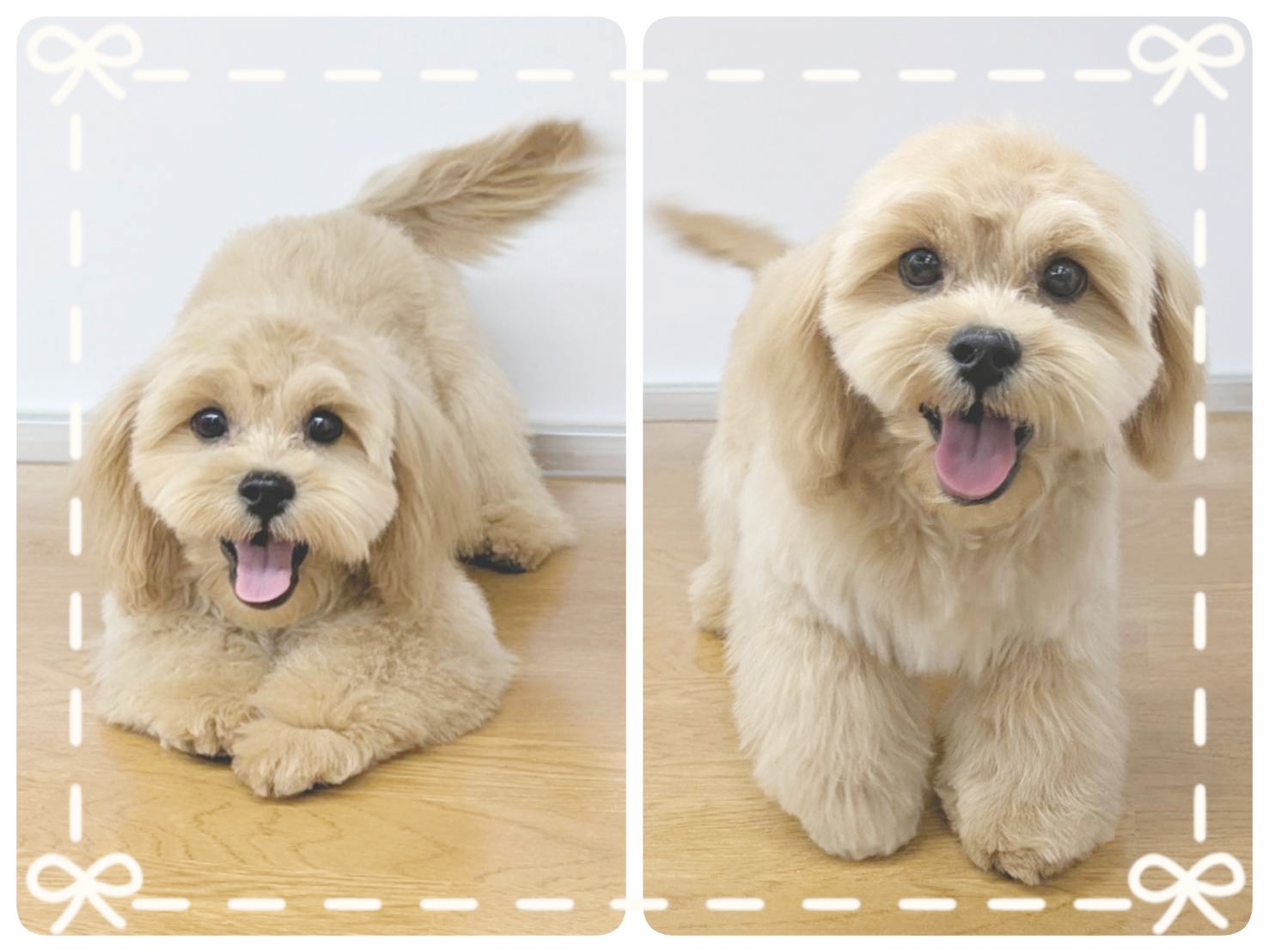 ����ͥ���3