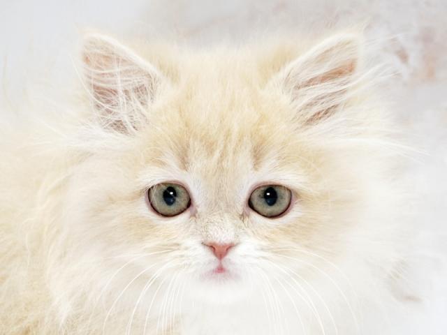 クリックすると詳細データが見られます。