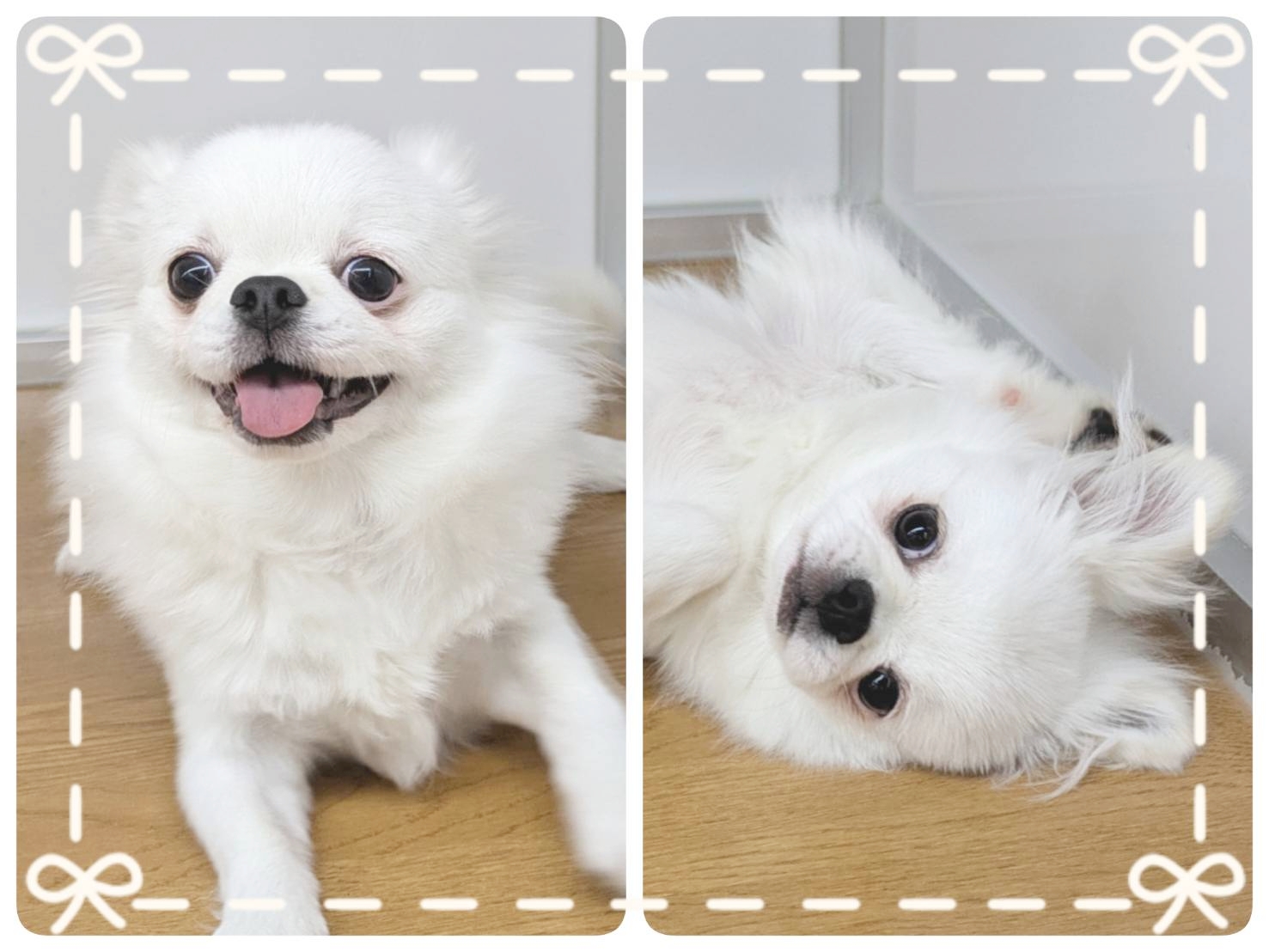 ����ͥ���3