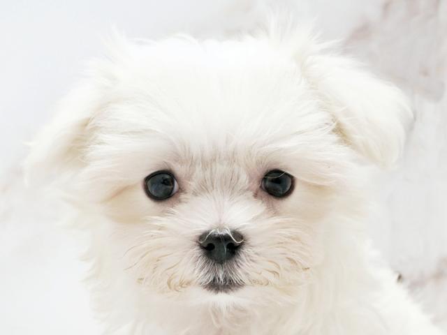 クリックすると詳細データが見られます。