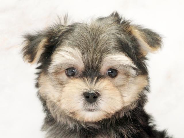 ����å�����Ⱦܺ٥ǡ����������ޤ���