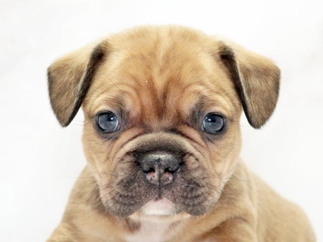 ����å�����Ⱦܺ٥ǡ����������ޤ���