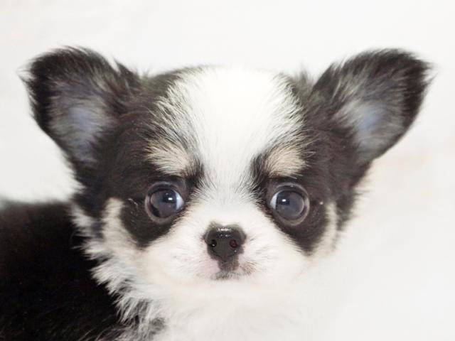 クリックすると詳細データが見られます。