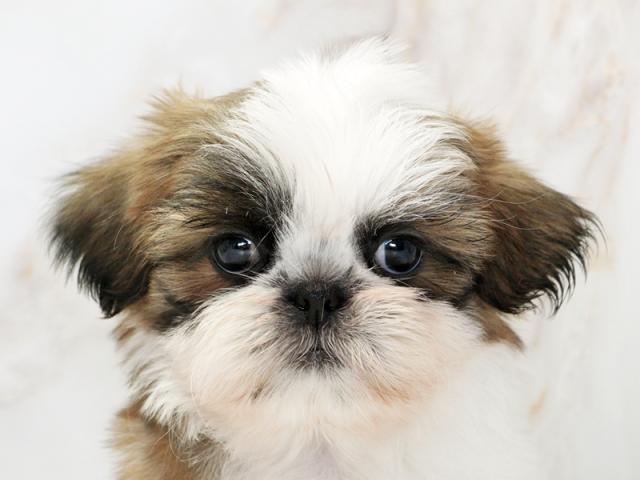 クリックすると詳細データが見られます。