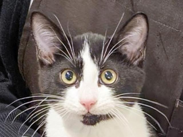 ����å�����Ⱦܺ٥ǡ����������ޤ���