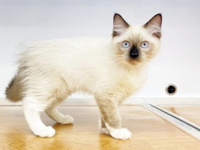 ����ͥ���2