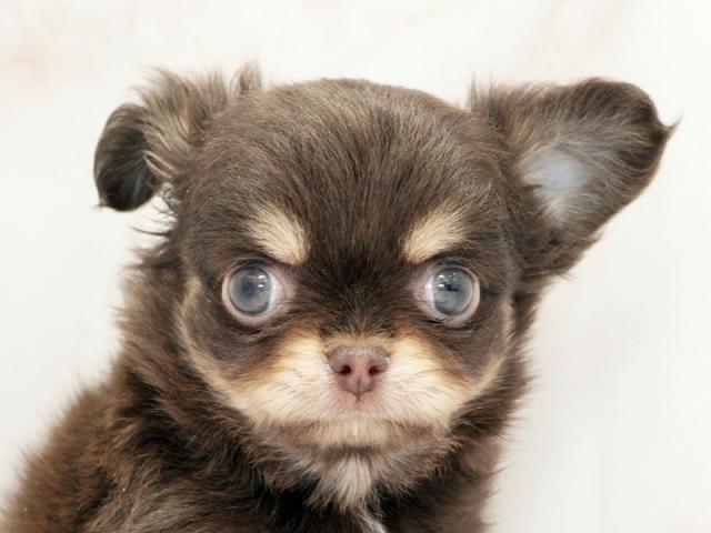 ����å�����Ⱦܺ٥ǡ����������ޤ���