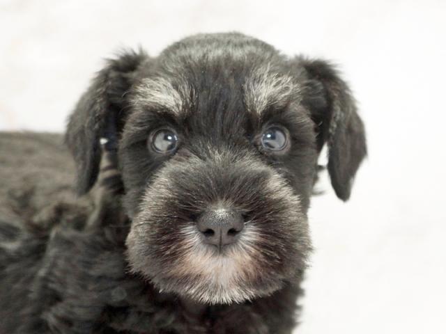 ����å�����Ⱦܺ٥ǡ����������ޤ���