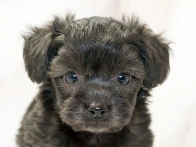 ����å�����Ⱦܺ٥ǡ����������ޤ���