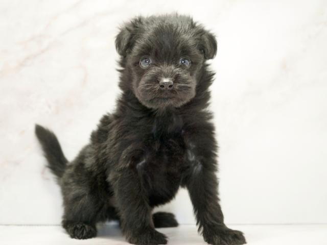 ����ͥ���2