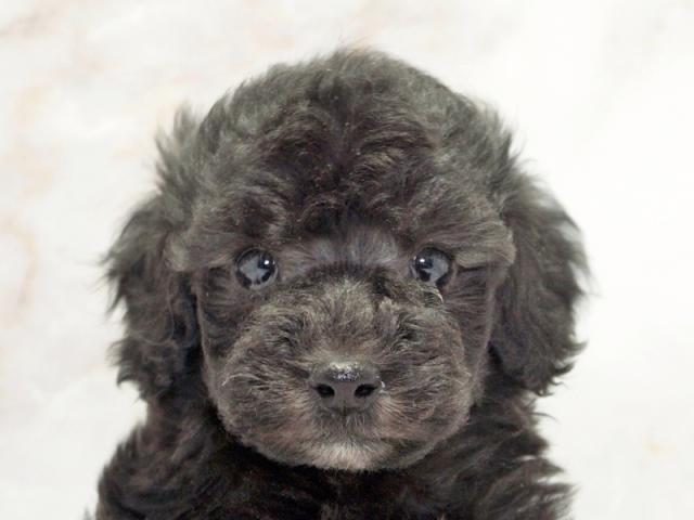 ����å�����Ⱦܺ٥ǡ����������ޤ���