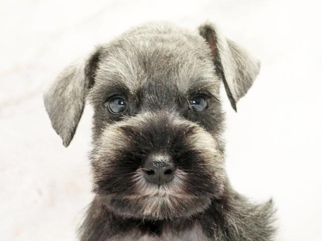 ����å�����Ⱦܺ٥ǡ����������ޤ���