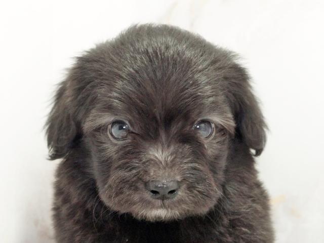 ����å�����Ⱦܺ٥ǡ����������ޤ���