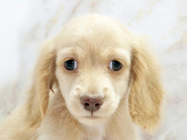 ����å�����Ⱦܺ٥ǡ����������ޤ���