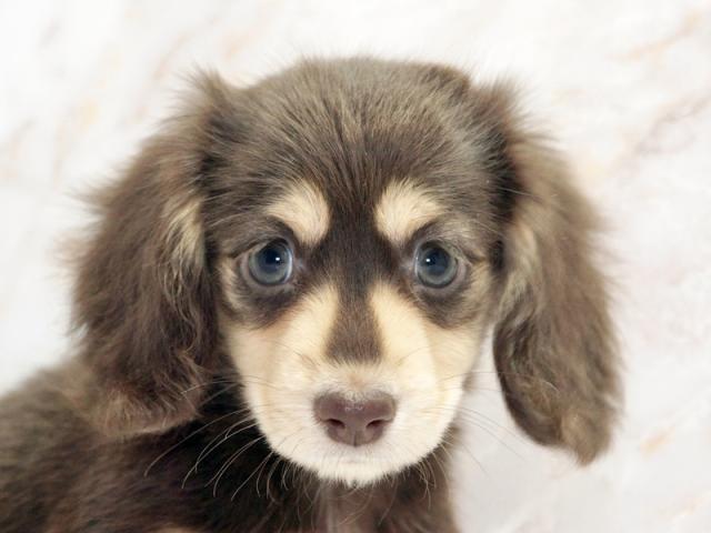 ����å�����Ⱦܺ٥ǡ����������ޤ���