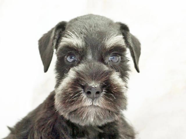 ����å�����Ⱦܺ٥ǡ����������ޤ���