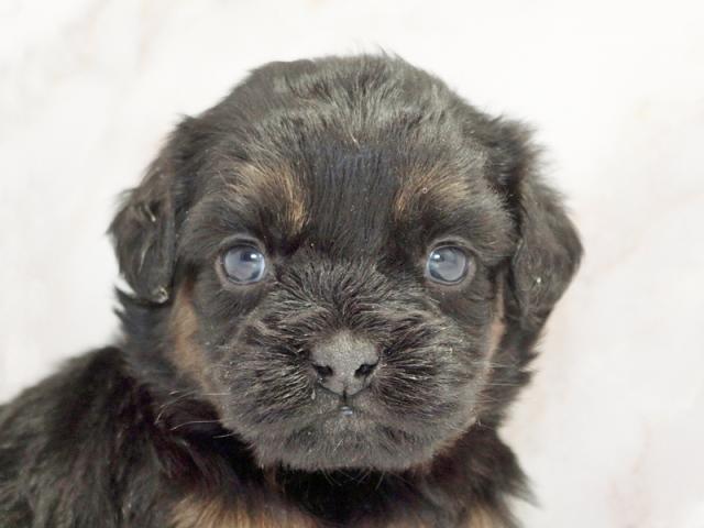 ����å�����Ⱦܺ٥ǡ����������ޤ���