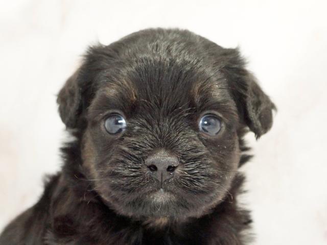 ����å�����Ⱦܺ٥ǡ����������ޤ���