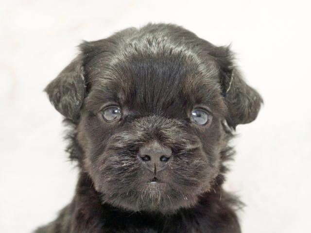 ����å�����Ⱦܺ٥ǡ����������ޤ���