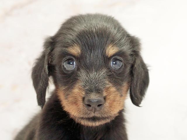 ����å�����Ⱦܺ٥ǡ����������ޤ���