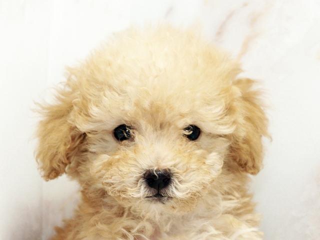 ����å�����Ⱦܺ٥ǡ����������ޤ���