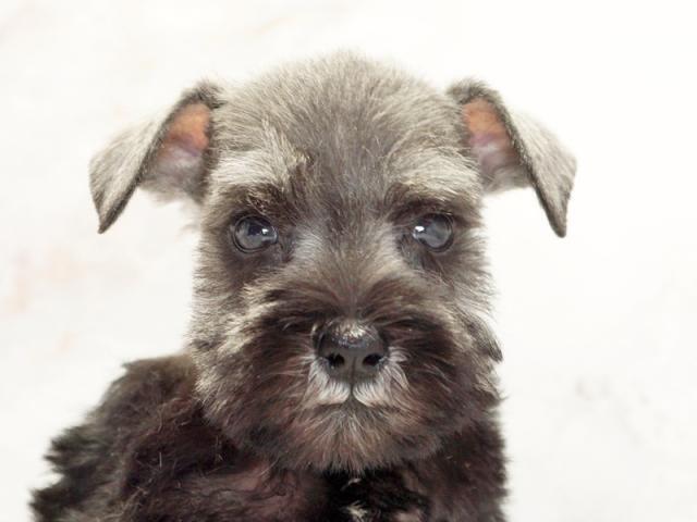 ����å�����Ⱦܺ٥ǡ����������ޤ���