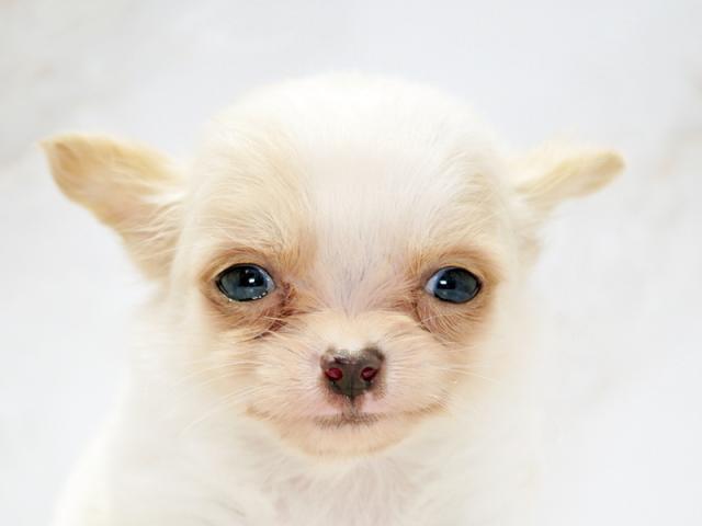 ����å�����Ⱦܺ٥ǡ����������ޤ���