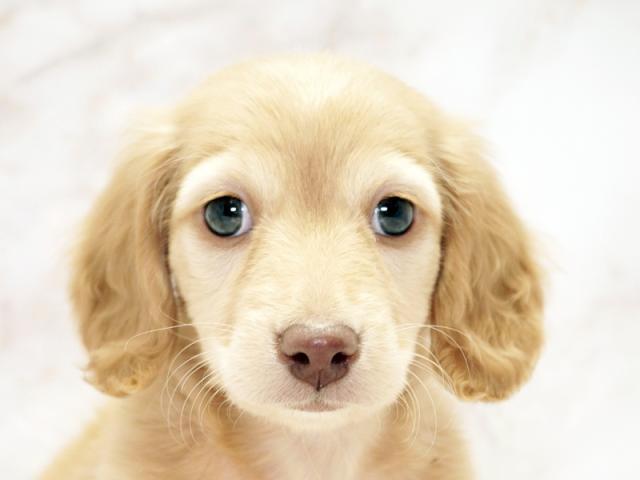 ����å�����Ⱦܺ٥ǡ����������ޤ���