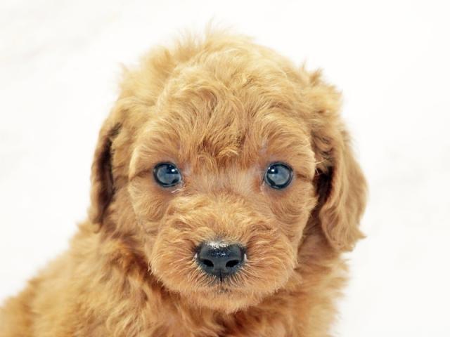 ����å�����Ⱦܺ٥ǡ����������ޤ���