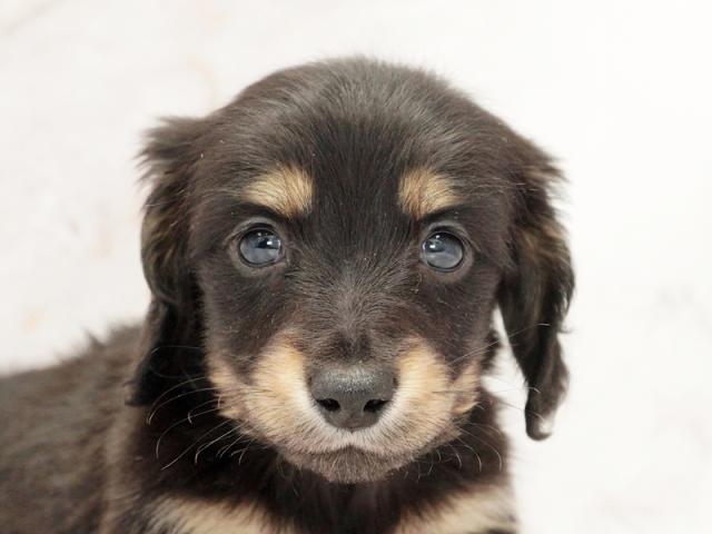 ����å�����Ⱦܺ٥ǡ����������ޤ���