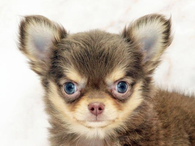 クリックすると詳細データが見られます。