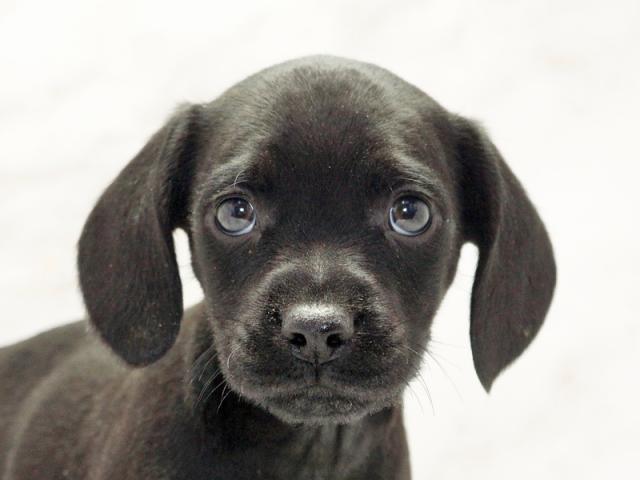 ����å�����Ⱦܺ٥ǡ����������ޤ���