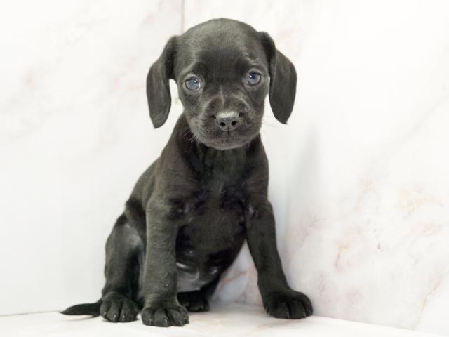 ����ͥ���2