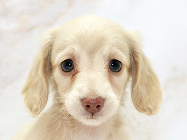 ����å�����Ⱦܺ٥ǡ����������ޤ���