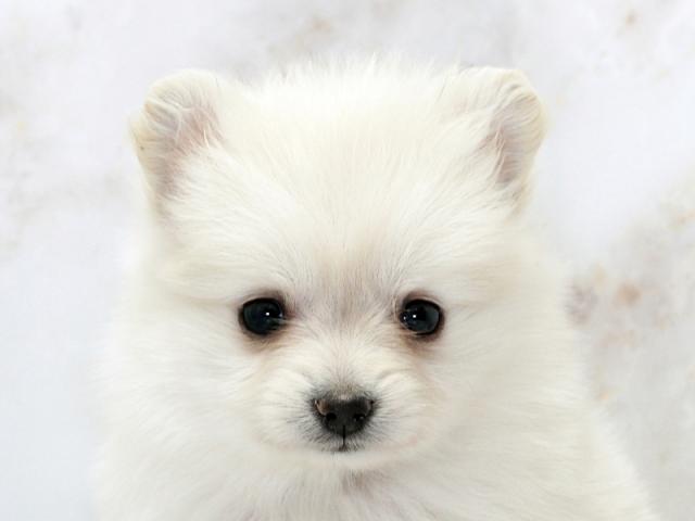 クリックすると詳細データが見られます。