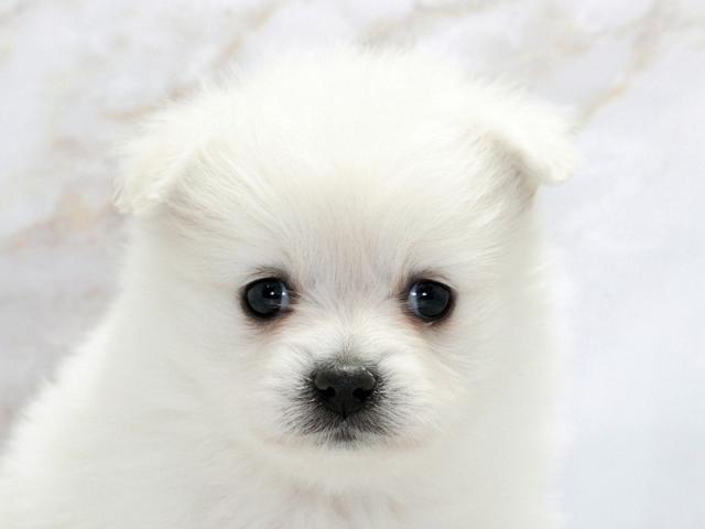 クリックすると詳細データが見られます。