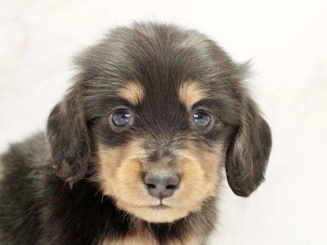 ����å�����Ⱦܺ٥ǡ����������ޤ���