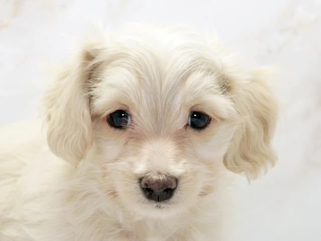 ����å�����Ⱦܺ٥ǡ����������ޤ���