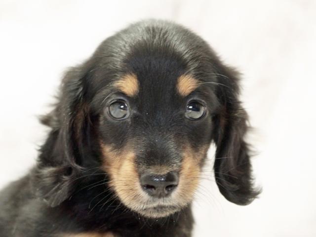 ����å�����Ⱦܺ٥ǡ����������ޤ���