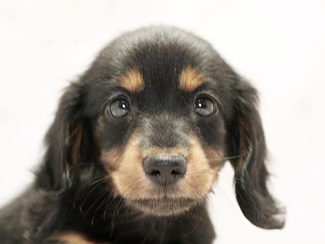 ����å�����Ⱦܺ٥ǡ����������ޤ���