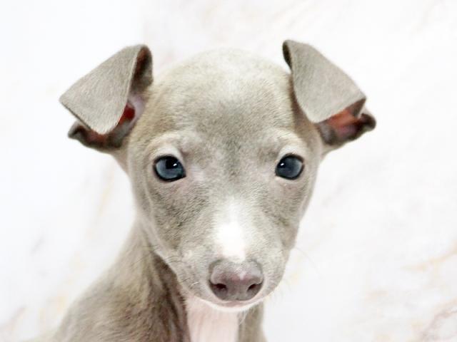 クリックすると詳細データが見られます。