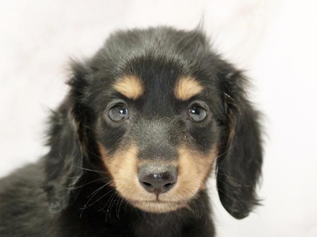 ����å�����Ⱦܺ٥ǡ����������ޤ���