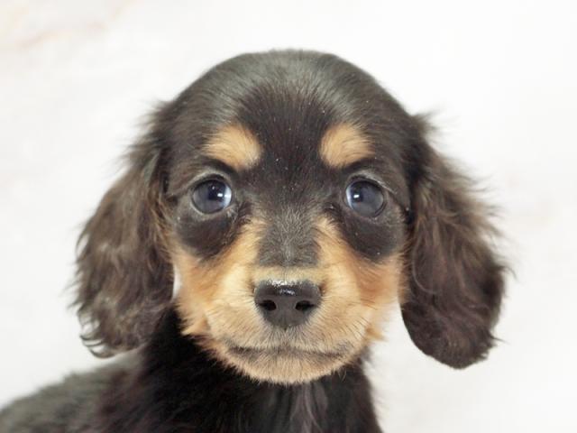 ����å�����Ⱦܺ٥ǡ����������ޤ���