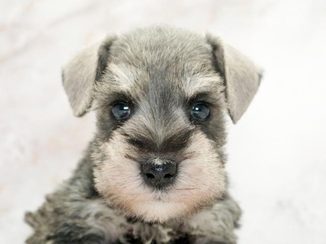 ����å�����Ⱦܺ٥ǡ����������ޤ���