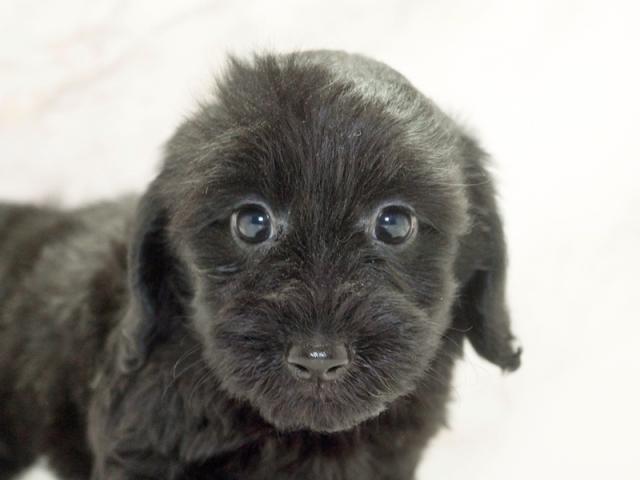 ����å�����Ⱦܺ٥ǡ����������ޤ���